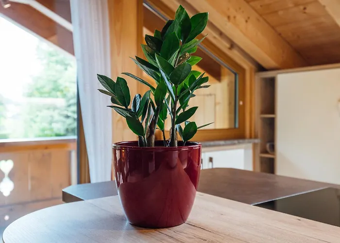 公寓 Zur Wally, Sunnig *